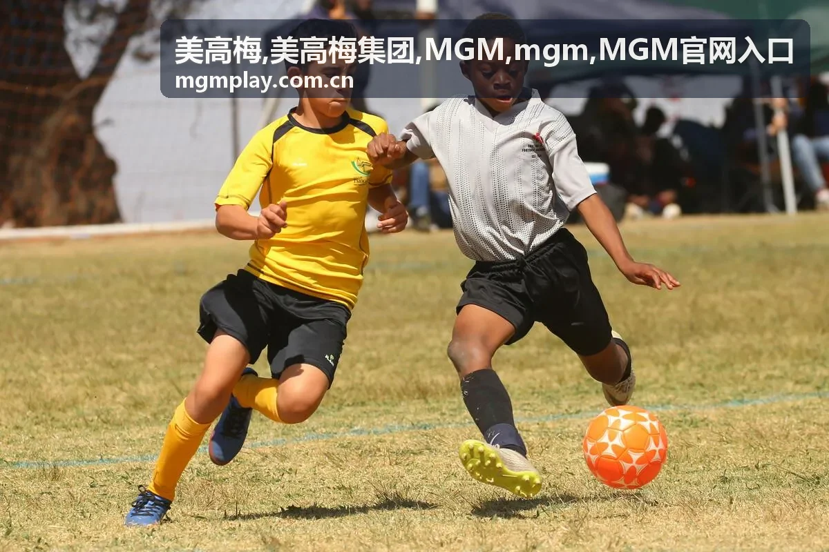 美高梅集团 MGM 品牌入口视觉图