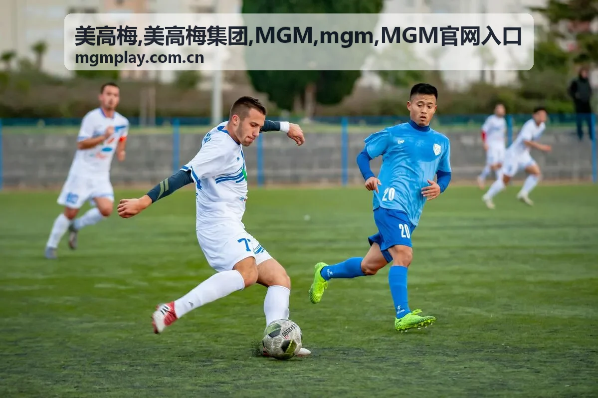 MGM官网入口中文指南封面