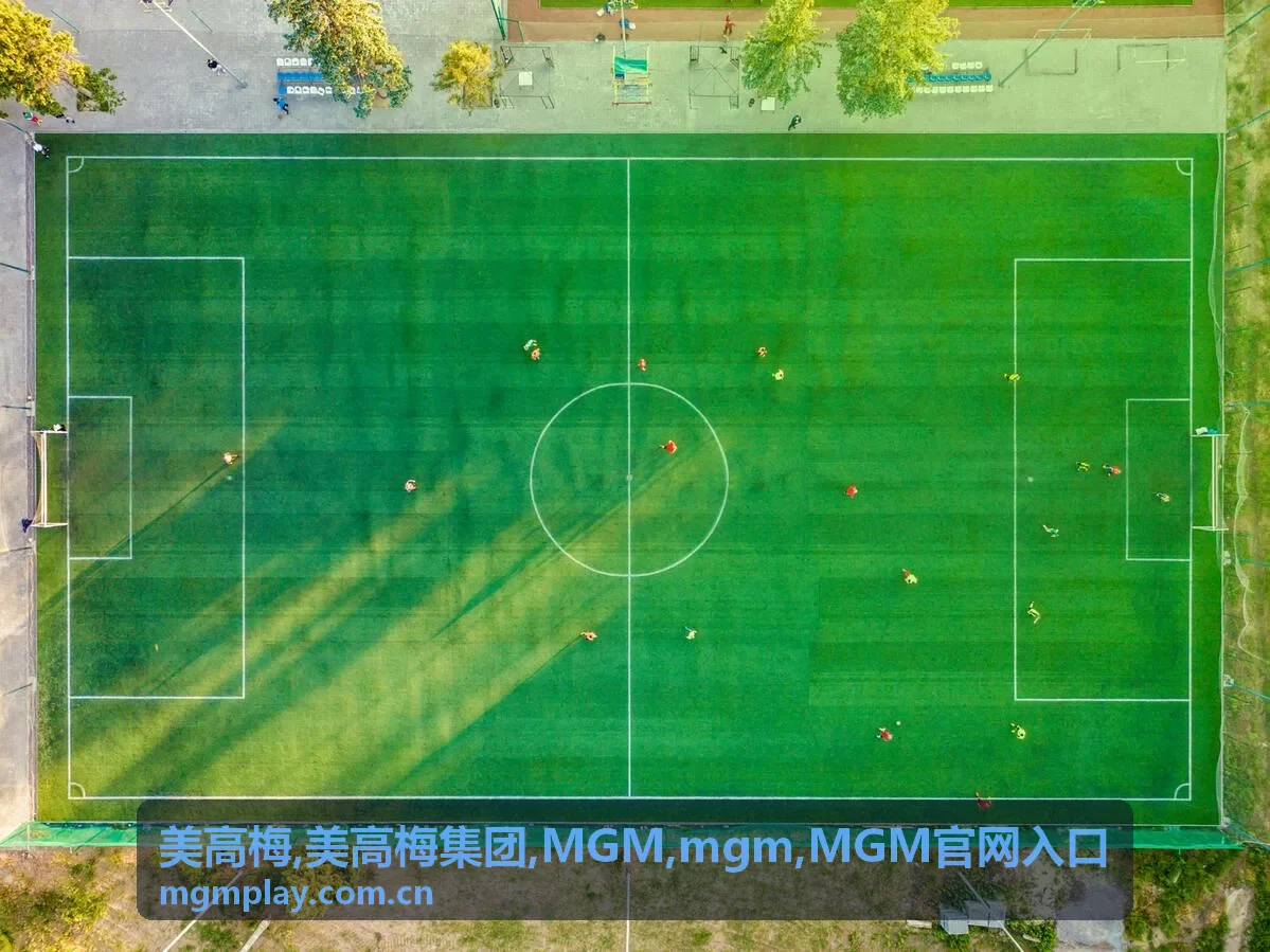 MGM官网入口中文服务指南图片
